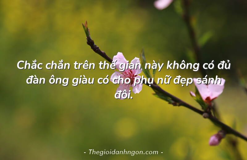 chac chan tren the gian nay khong co du dan ong giau co cho phu nu dep sanh doi - Chào mừng bạn đến với Thế giới danh ngôn